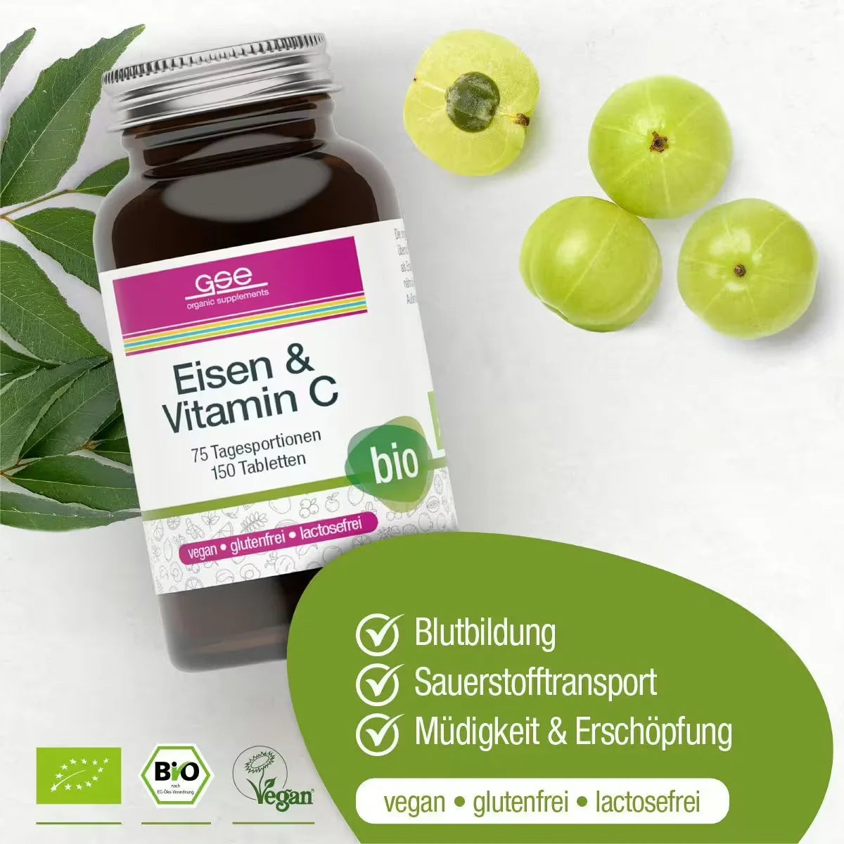 Järn- & C-vitaminkomplex (ekologisk)
